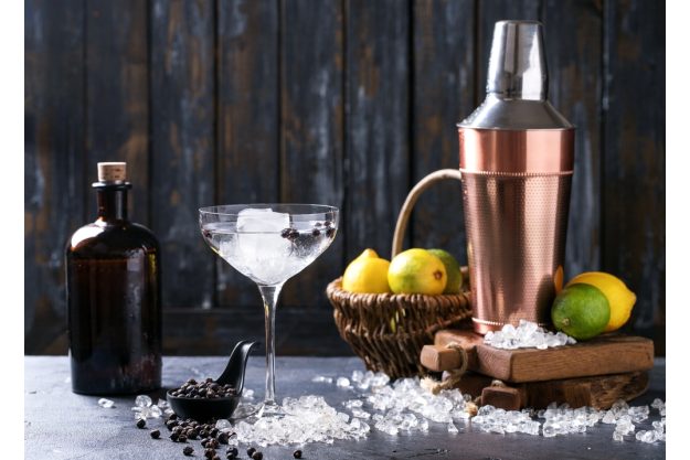 Gin-Tasting-Augsburg die besten Gins entdecken