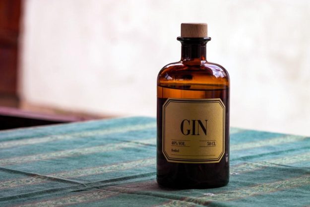 Gin-Tasting Augsburg – dein Gin