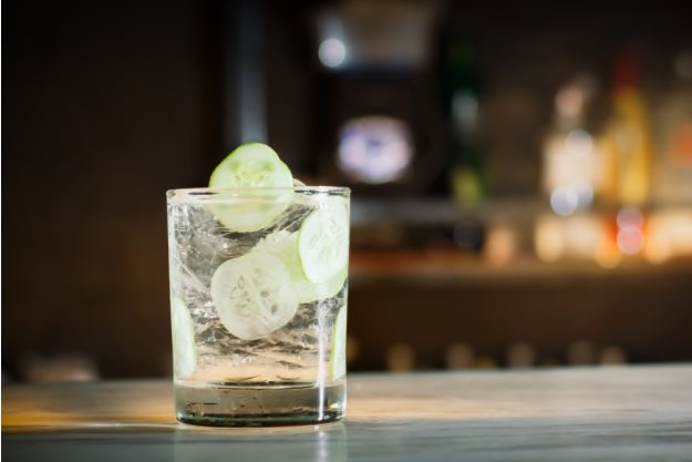 Gin-Tasting Heidelberg – Gin mit Gurke