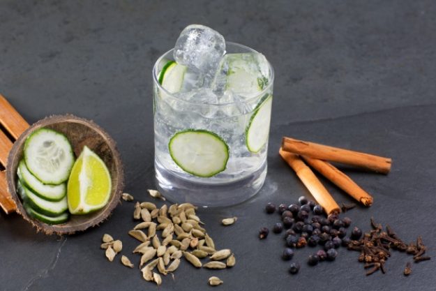 Gin-Tasting Heidelberg – Gin mit Wacholder und Gurke