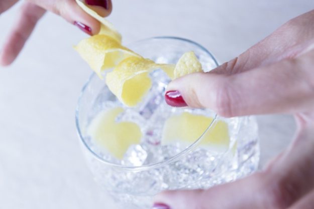 Gin-Tasting Heidelberg – Gin mit Zitrone