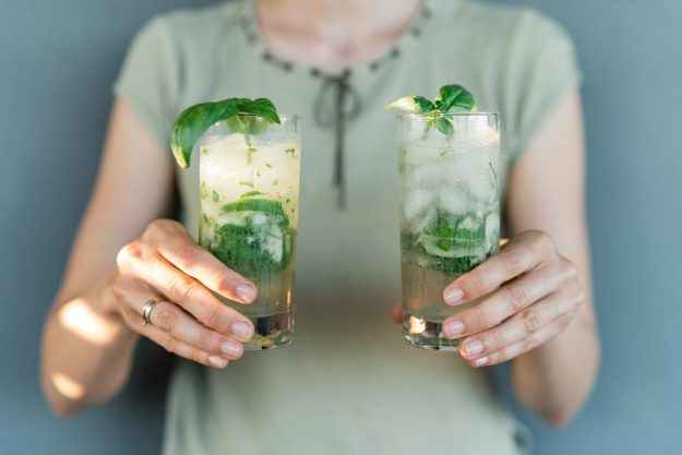 Gin-Tasting Karlsruhe – Gin mit Basilikum