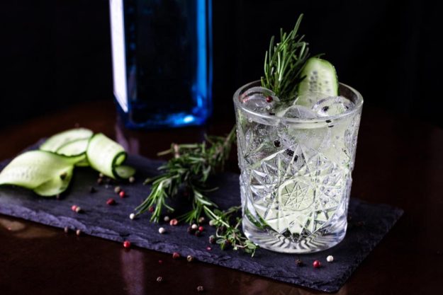 Gin-Tasting Karlsruhe – Gin mit Gurke