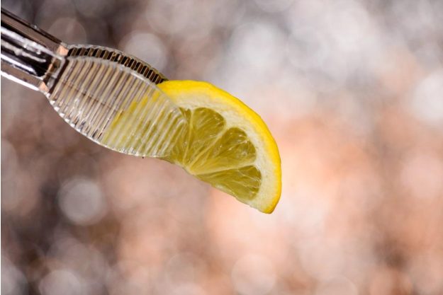 Gin-Tasting München – Zitronenscheibe