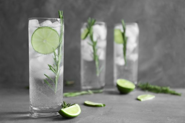 Gin-Tasting Stuttgart – Gin mit Gurke