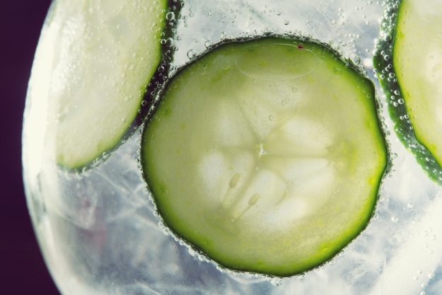 Gin-Tasting Heidelberg – Gin mit Gurkenscheiben