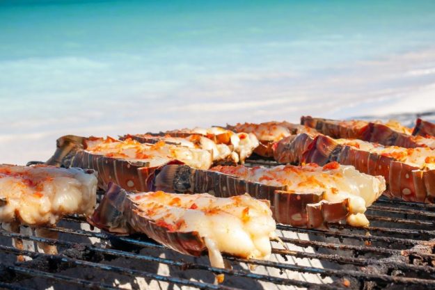 Grillkurs Berlin – Grillrost Strand