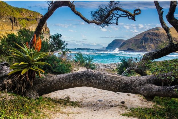 Afrikanischer Grillkurs Berlin: Küstenlandschaft in Südafrika