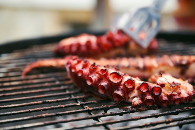 Grillkurs München – Oktopus vom Grill