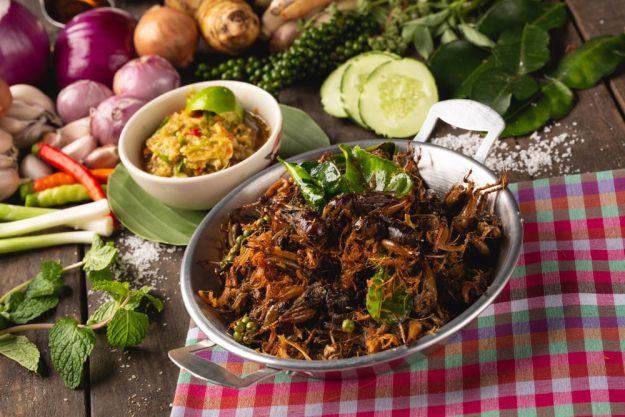 Insekten-Kochkurs Mannheim – Gemüsegericht mit Grillen