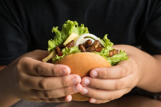 Insekten-Kochkurs Mannheim – Burger mit Insekten