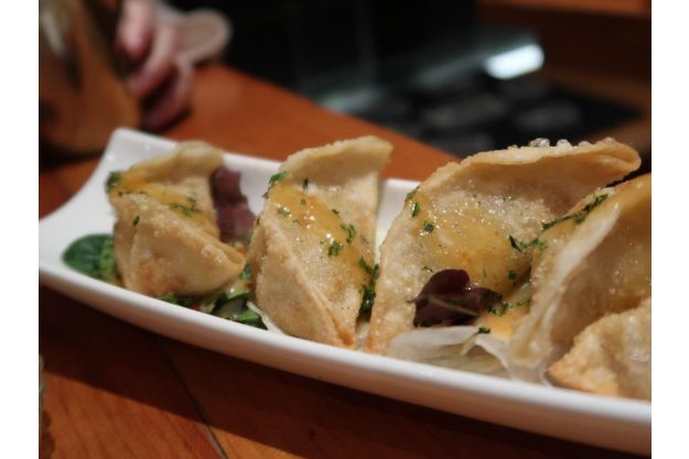 Japanischer Kochkurs Berlin – gefüllte Gyoza