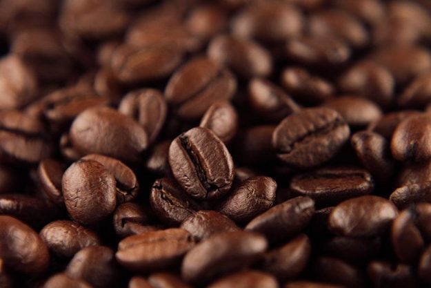 Kaffee-Seminar Hamburg – dunkel geröstete Bohnen