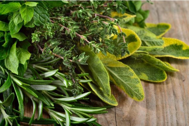 Mediterraner Kochkurs Augsburg – frische Kräuter