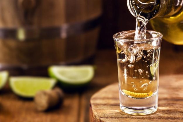 Tequila-Tasting Berlin – Tequila einschenken