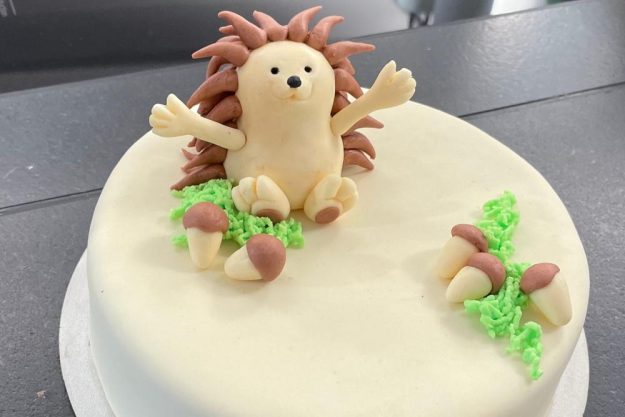 Tortenkurs Mannheim – Motivtorte Igel