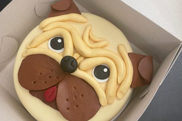 Tortenkurs Mannheim – Motivtorte Mops