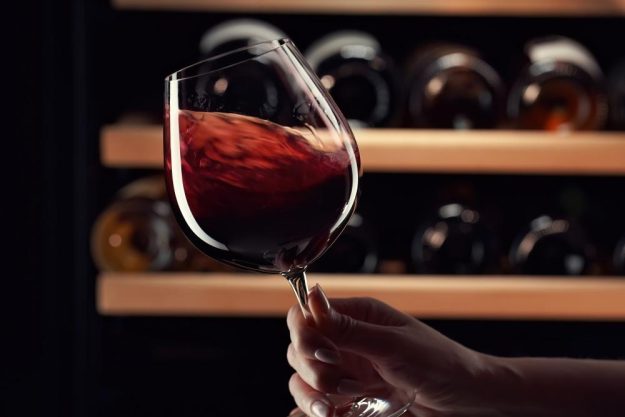 Weinprobe Augsburg – Rotwein