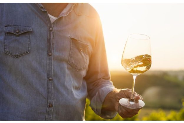 Weinprobe Berlin Wein Frühlingswein