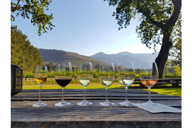 Weinprobe Frankfurt - Weine aus Südafrika