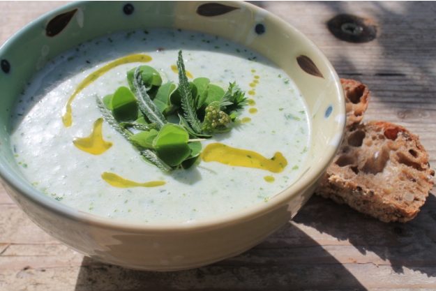 Wildkräuter-Kochkurs München – Bärlauchsuppe