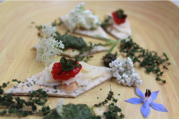 Wildkräuter-Kochkurs München – wilde Kräuter