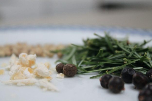 Wildkräuter-Tasting München Kräuter richtig einsetzen