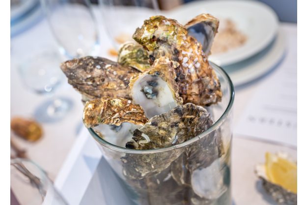 Austernprobe Pfalz lecker Austern mit dem besten Sekt