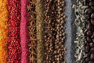 Gewürzseminar Dresden Spice up your life