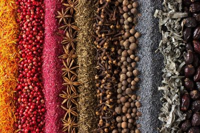 Gewürzseminar Dresden Spice up your life