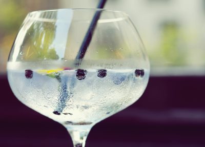 Gin-Tasting Stuttgart Lange Rede, kurzer Gin