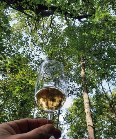 Wald-Whisky-Wanderung Wald-Whisky-Wanderung