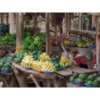 Afrikanischer Kochkurs Augsburg – traditionelle Rezepte