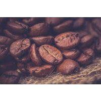 Barista-Kurs Bonn – Bohnen