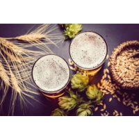 Bierprobe Frankfurt – Bier und Hopfen