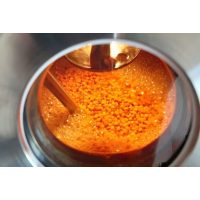 Sanddorn aus der Region für Berlin Gin