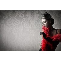 Burleske-Show Stuttgart Burleske-Shows mit Cocktails