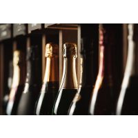 Champagnertasting Berlin die besten Champagner