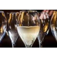 Champagner-Tasting Berlin – perlender Champagner