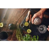 Cocktailkurs Augsburg Die Kunst des Shakens lernen