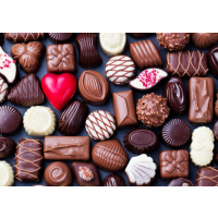 Pralinen Workshop