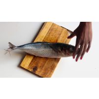 Kongolesischer Kochkurs: Tilapia Noir & Soso Pili-Pili