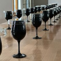 (W)Einsteiger-Seminar live im Weingut Wilhelmshof