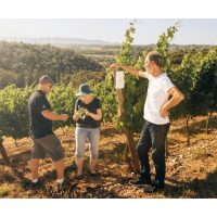 Südportugal trifft Südpfalz