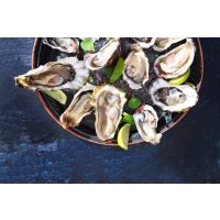 Erotic Food Kurs Stuttgart – Austern