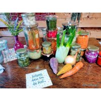 Fermentations-Kurs Glonn – Fermentiertes