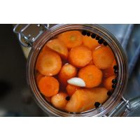 Fermentations-Kurs Glonn – Karotten