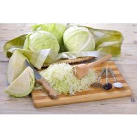 Fermentations-Kurs Glonn – Weißkohl fermentieren