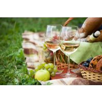 Firmenfeier mit Weinseminar in Ludwigsburg – Picknick mit Wein 