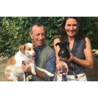 Virtuelle Reise best of Italy virtuelles Event Veranstalterin Beatrix mit Trüffelhunden